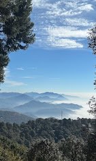 Comfortable hotel stay in Nainital Uttarakhand